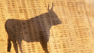 S&P 500: Jak uplynulých sedm let růstu změnilo hlavní americký index?