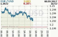 Online graf kurzu usd/eur