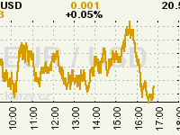 Online graf kurzu USD/EUR
