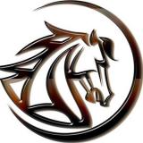 Logo MustangCoin