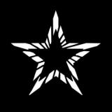 Logo StarCash Network