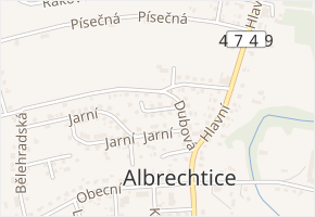 Břízová v obci Albrechtice - mapa ulice