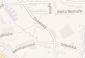 Dukelská v obci Aš - mapa ulice