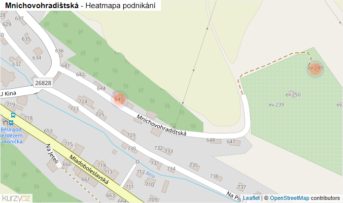 Mapa Mnichovohradištská - Firmy v ulici.