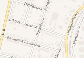 Purkyňova v obci Benešov - mapa ulice
