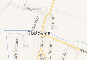 Náves v obci Blažovice - mapa ulice