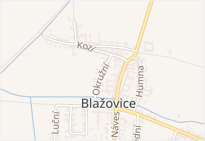 Okružní v obci Blažovice - mapa ulice