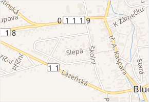 Slepá v obci Bludov - mapa ulice
