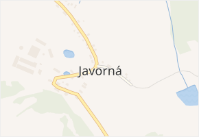Javorná v obci Bochov - mapa části obce