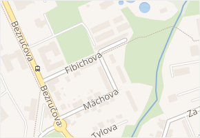 Fibichova v obci Bohumín - mapa ulice