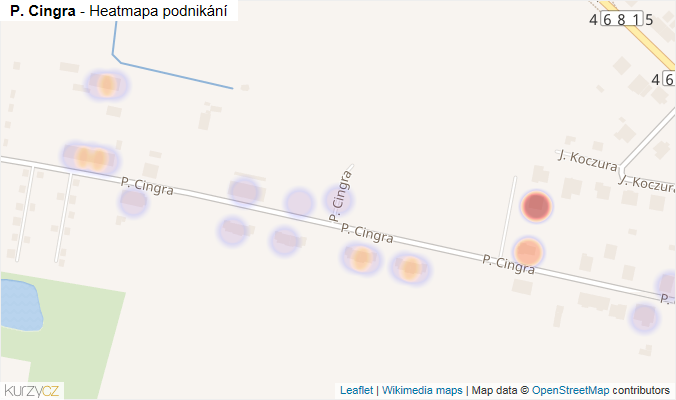Mapa P. Cingra - Firmy v ulici.