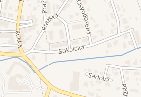 Sokolská v obci Bor - mapa ulice