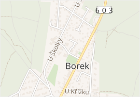 Družstevní v obci Borek - mapa ulice