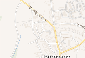 U Dubu v obci Borovany - mapa ulice