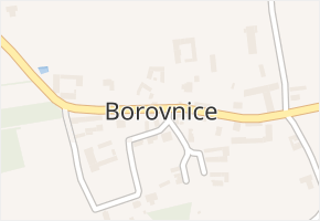 Borovnice v obci Borovnice - mapa části obce