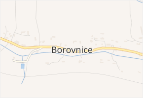 Borovnice v obci Borovnice - mapa části obce
