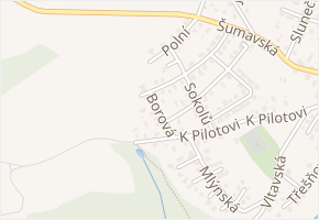 Borová v obci Boršov nad Vltavou - mapa ulice