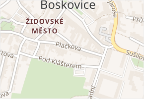 Plačkova v obci Boskovice - mapa ulice