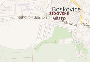 Zástřizlova v obci Boskovice - mapa ulice