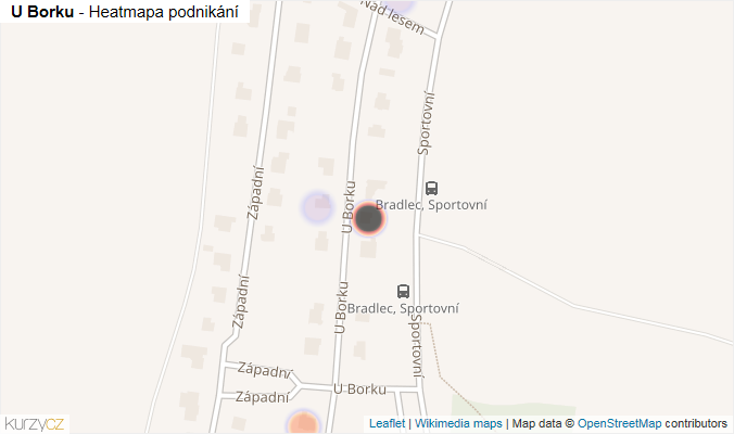 Mapa U Borku - Firmy v ulici.