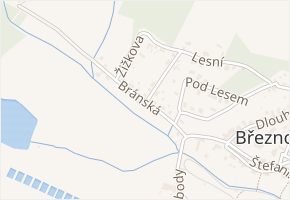 Bránská v obci Březno - mapa ulice