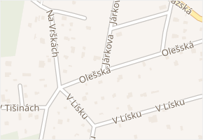 Olešská v obci Březová-Oleško - mapa ulice
