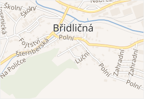 Na Vyhlídce v obci Břidličná - mapa ulice