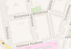 Bolzanova v obci Brno - mapa ulice
