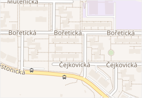 Bořetická v obci Brno - mapa ulice