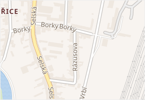Borky v obci Brno - mapa ulice