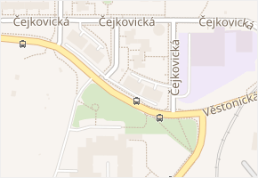 Čejkovická v obci Brno - mapa ulice