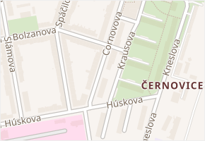 Cornovova v obci Brno - mapa ulice