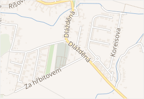 Dlážděná v obci Brno - mapa ulice