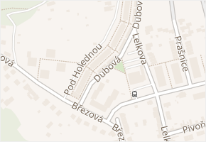 Dubová v obci Brno - mapa ulice