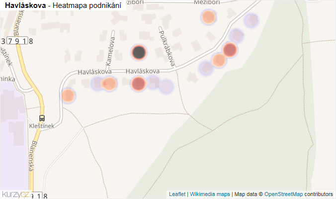 Mapa Havláskova - Firmy v ulici.