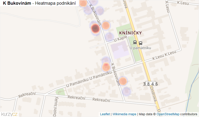 Mapa K Bukovinám - Firmy v ulici.