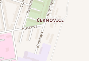 Kneslova v obci Brno - mapa ulice