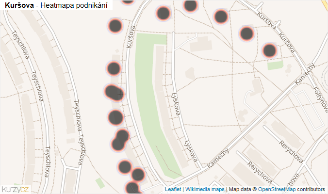 Mapa Kuršova - Firmy v ulici.