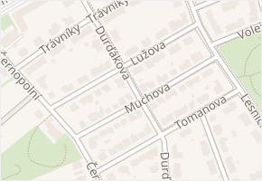 Lužova v obci Brno - mapa ulice