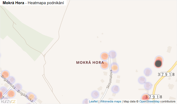 Mapa Mokrá Hora - Firmy v části obce.
