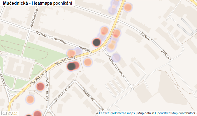 Mapa Mučednická - Firmy v ulici.