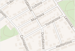 Muchova v obci Brno - mapa ulice
