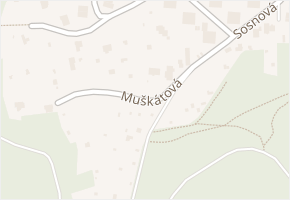 Muškátová v obci Brno - mapa ulice