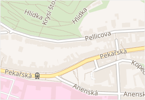 Pellicova v obci Brno - mapa ulice