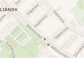 Podlomní v obci Brno - mapa ulice