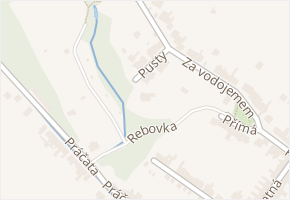 Pusty v obci Brno - mapa ulice