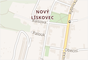 Raisova v obci Brno - mapa ulice