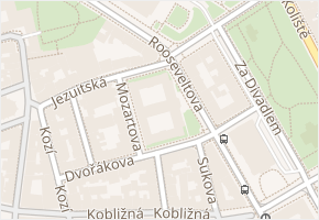 Rooseveltova v obci Brno - mapa ulice