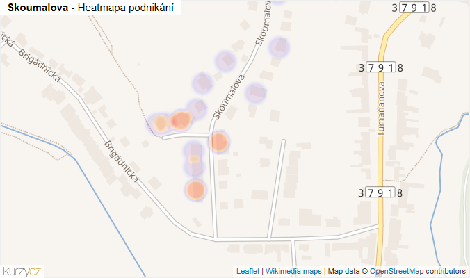 Mapa Skoumalova - Firmy v ulici.