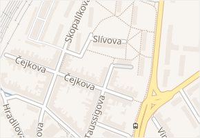 Slívova v obci Brno - mapa ulice
